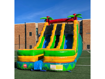 Palm Tree Slide Wet n Dry