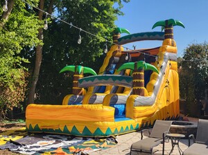20ft Pineapple Tropical Water Slide (Double Lane)