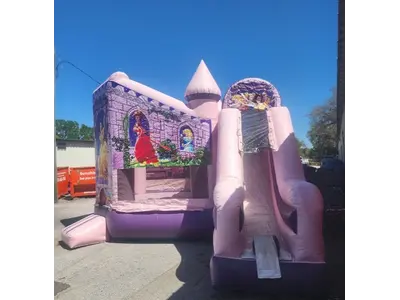 Princess Castle Combo (Dry Only)