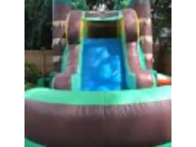 Tropical Bounce House Combo #256W in winter garden