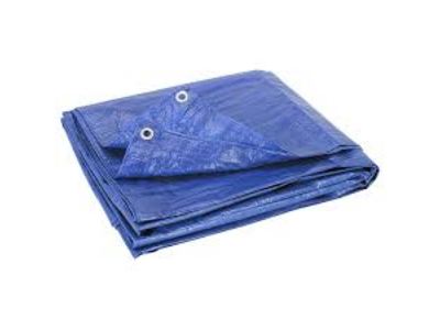 Extra Tarp / Tarp Down Service