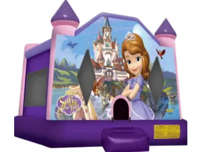 Sofia The First in Madison Heights