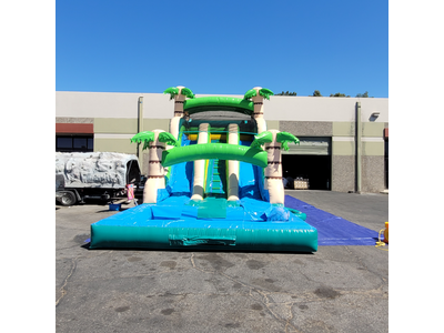 16ft Tropical Oasis double lane water slide