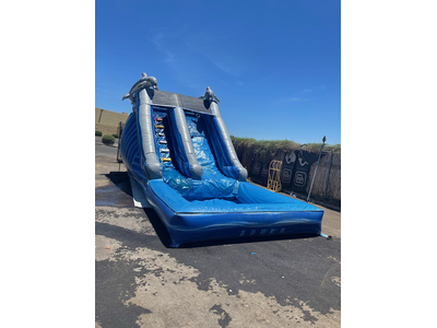 16FT inflatable dolphin water slide rental
