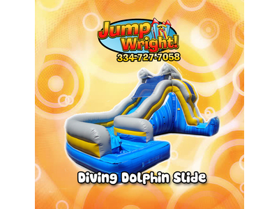 Diving Dolphin Slide