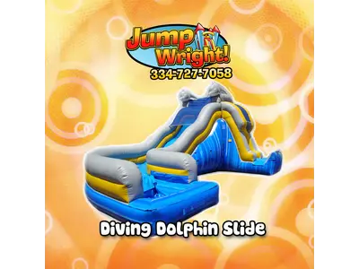 Diving Dolphin Slide in Tuskegee