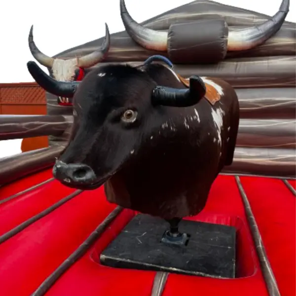 Mechanical Bulls