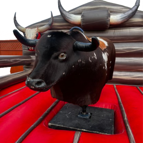 Mechanical Bulls