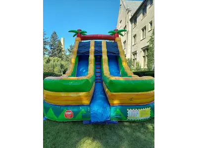 Palm Tree Slide Wet/Dry