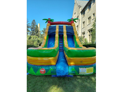 Palm Tree Slide Wet/Dry