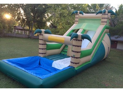 20ft Tropical Water Slide