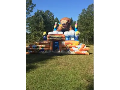 Dual Lane Bear Slide