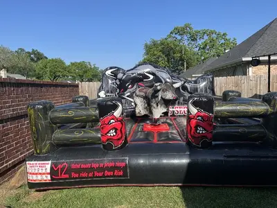 Mechanical Bull
