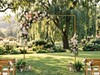 Golden Square Wedding Arch