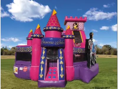 Princess Palace in Madison Heights