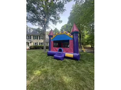 Pink and Purple Castle in Highland Springs