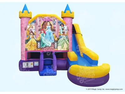 Disney Princess Combo in Madison Heights