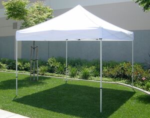 10x10 Canopies 
