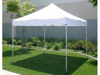 10x10 Canopies 