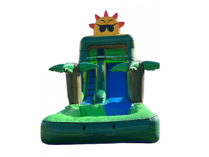 13' Tropical Palmtrees Waterslide in Riverside
