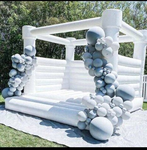 Snow Flake Bounce House in Nashville