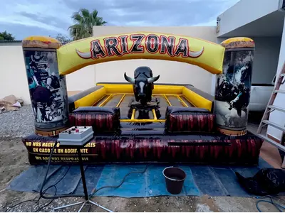 Mechanical Bull