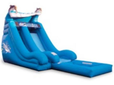 18ft Dolphins Deep Pool Water Slide