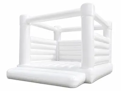 Snow Flake Bounce House in Nashville