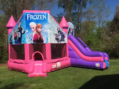 Frozen Princess castle in Granite City