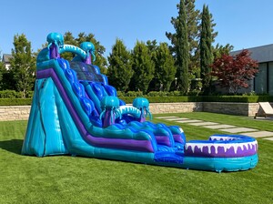 Giant Jellyfish Water Slide