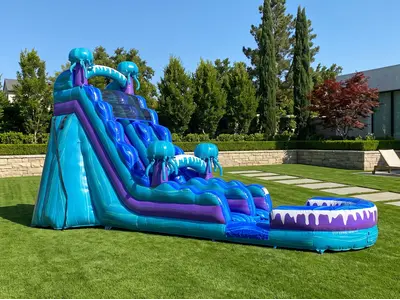Giant Jellyfish Water Slide in Orange