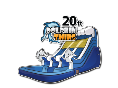 20 FT dolphin double lane water slide