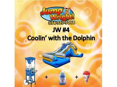 JW #4:  Coolin' with the Dolphin
