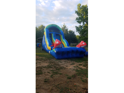 18ft Single Lane Dolphin 