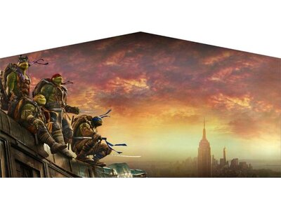 Ninja Turtles banner x