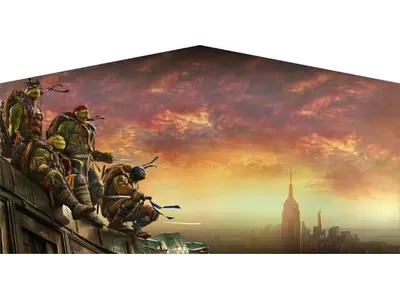 Ninja Turtles banner x in San Antonio