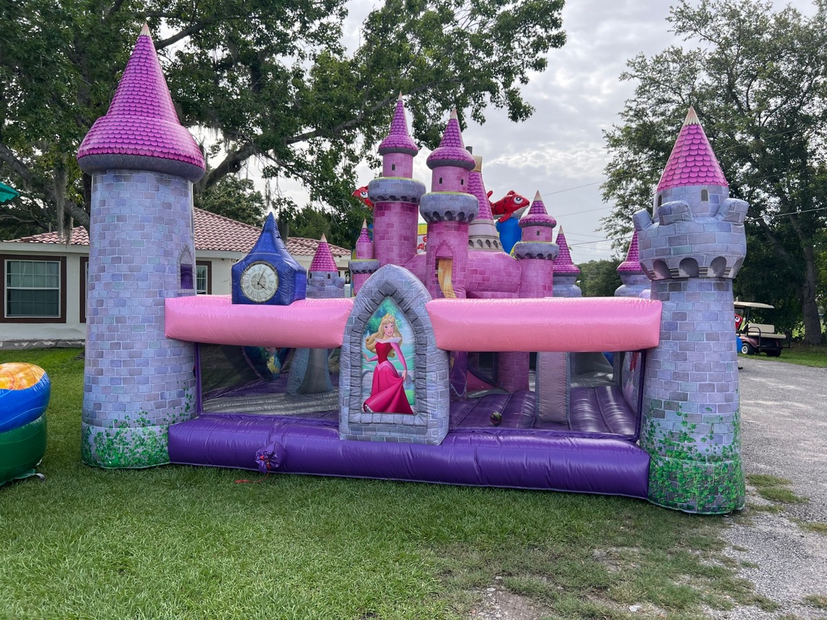 Baby Disney Castle for Toddlers #121 in winter garden