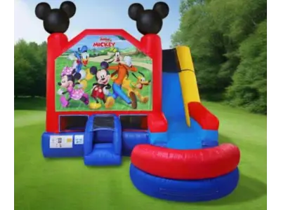 Mickey and Minnie Combo in Madison Heights
