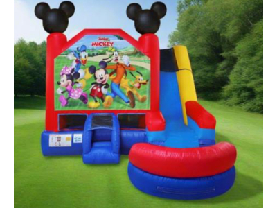 Mickey and Minnie Combo
